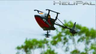 HeliPalcom  Walkera HM Master CP Helicopter Outdoor 3D Flight [upl. by Nauqas]