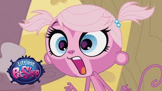 Littlest Pet Shop  ‘OmmmMG’ Original Short [upl. by Paris]