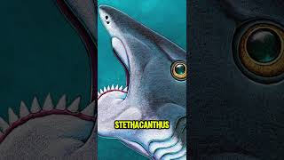 MEGA SHARKS Ruled the Ocean Before Megalodon [upl. by Sidwel]