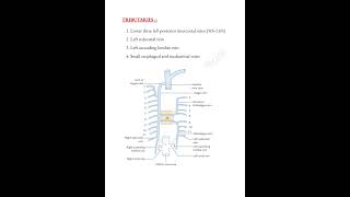 Hemiazygos vein📝 mbbslife trending thorax anatomy medicalconcepts28 [upl. by Icak797]