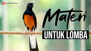 MASTERAN MURAI BATU PALING MEWAH UNTUK MATERI LOMBA [upl. by Anastasie]