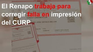 Renapo trabaja para corregir falla en impresión del CURP [upl. by Radack296]