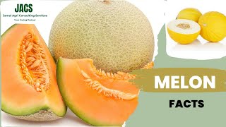 Sweet Melon Cucumis melo Facts [upl. by Thagard]