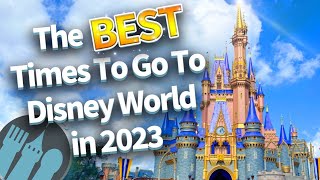 The BEST Times To Go To Disney World in 2023 [upl. by Berwick]