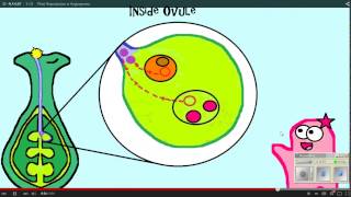 Plant Reproduction Amoeba Sisters WS 12 11 14 [upl. by Adnaluoy]