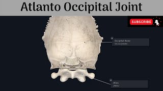 Atlanto Occipital Joint  Type  Articular Surfaces  Ligaments  Movements  Muscles [upl. by Reinhold]