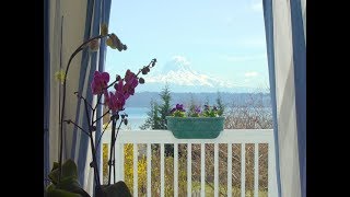 Vashon Island One Level View home Seattle real estate video [upl. by Cornel]