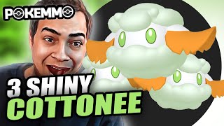 ⭐ME SALIERON 3 SHINY COTTONEE⭐ FUI TROLEADO 16863 ENCUENTROS  PokeMMO  awaLLz [upl. by Stirling]