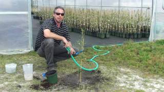 Planting an Olive Tree with Georgia Olive Farms [upl. by Pedro]