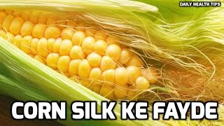 ६ बेजोड़ भुट्टे के रेशें के फायदे  Amazing Benefits Of Corn Silk in Hindi [upl. by Seligmann]