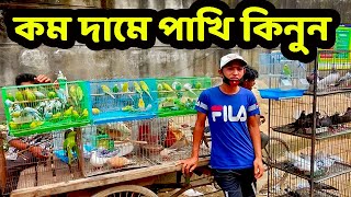 কম দামে রানিং বাজরিগার পাখি কিনুন  জেনে নিন পাখির দাম কত Birds price in Bangladesh [upl. by Noll]