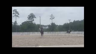 US Event Horse Futurity Vlog 2  Tak For Farven [upl. by Asiela]