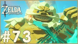 Zelda Breath Of The Wild  Daruk 73 [upl. by Atiuqad]