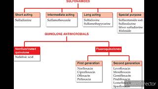 classification of sulfonamidedrugs medicine knowledge youtubevideo [upl. by Stclair]