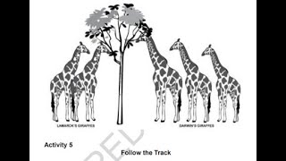 Science 10 Quarter 3 Module 3 Activity 5  Follow the Track Students output [upl. by Acisej]