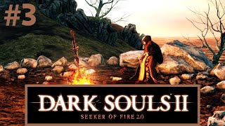 DARK SOULS 2 SEEKER OF FIRE 20  O mod que muda tudo 3 [upl. by Nnylram]