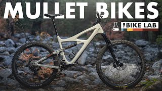 Mullet Bikes Explained Mixed Wheel Size MTB [upl. by Anerol698]