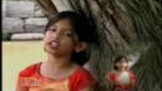 Bulbul Pakhi Moyna Tiye Music Video by Madhabi Hossain [upl. by Cumings691]