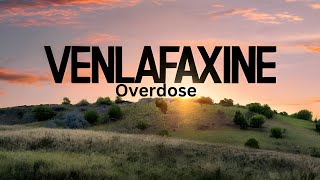 Effexor Venlafaxine Overdose A Case Study [upl. by Anabelle]