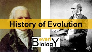 History of Evolution updated [upl. by Doran595]