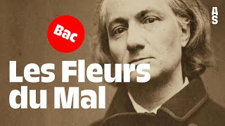 Les Fleurs du Mal Charles Baudelaire  Bac français 2024 [upl. by Iyre]