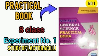 practical book 8 class Experiment No 1 study of lactobacilli subscribe [upl. by Euqinad]