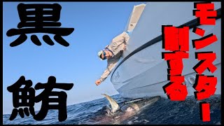 【釣】モンスタークロマグロを求めて②数投でクロマグロ100kgクラスが…マグロに賭けた男たち [upl. by Avera]