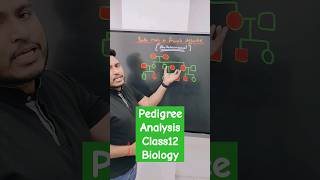 Pedigree Analysis  Class12 Biology shorts [upl. by Chiou]