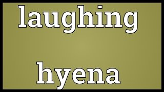 Laughing hyena Meaning [upl. by Ekenna]