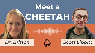 Meet a Cheetah Episode 1 Scott Lippitt [upl. by O'Dell]