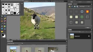 How to Crop Photos Using Photoshop Elements 10 [upl. by Hayne]