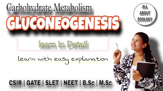 Carbohydrate Metabolism GLUCONEOGENESIS  Glucose Synthesis Pathway  Function  Biochemistry [upl. by Gulgee216]