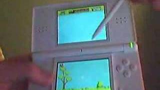 Duck Hunt on DS [upl. by Akzseinga]