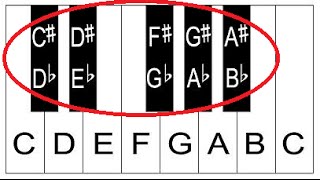 Piano Notes and Keys  Piano Keyboard Layout  Lesson 1 For Beginners [upl. by Mersey]