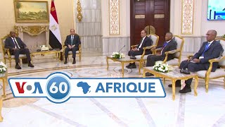 VOA60 Afrique  Egypte GuinéeBissau Cameroun Nigeria [upl. by Arehs573]