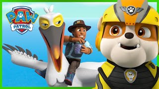 A Patrulha Pata salva o Travis de um grande pássaro e muito mais  PAW Patrol Episódio Português [upl. by Nagear]