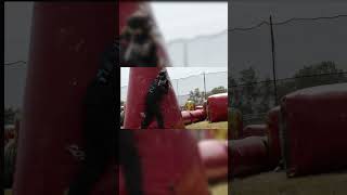 Kill the snake shorts paintball [upl. by Anaili34]