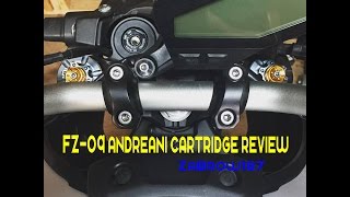 FZ09 Andreani Cartridge Review [upl. by Erbua134]