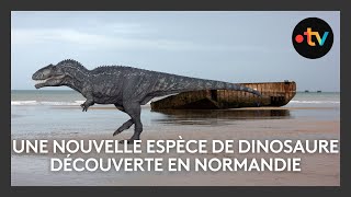 Une nouvelle espèce de dinosaure découverte en Normandie [upl. by Enneillij]