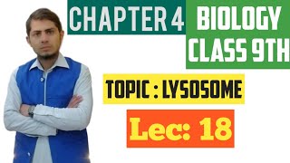 Lysosome Sucide bags  Class 9th Chp 4  Lec 18 [upl. by Basil]