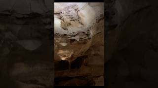 Do You See It Longhorn Cavern State Park Burnet Texas shorts cave formation texas turtle [upl. by Maurise476]