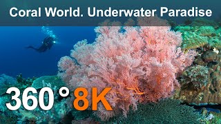 Coral World Underwater Paradise Philippines 360 underwater video in 8K [upl. by Sussna668]