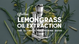 Lemongrass Oil Extraction Machine Efficiency in Every Drop [upl. by Free306]