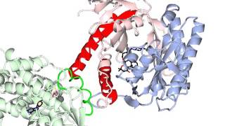 Adenylate cyclase activation with sound [upl. by Ystap232]