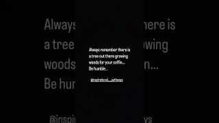 quotes coffins wood trees forest sorrounding short shortfeeds ytshort viral trending fyp [upl. by Eaton990]