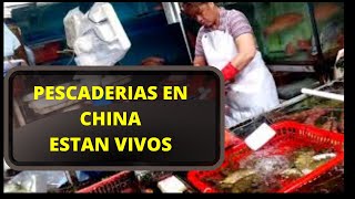 PESCADERIAS EN HONG KONG MERCADO DE PESCADOS Y MARISCOS PARTE 2 [upl. by Auburta]