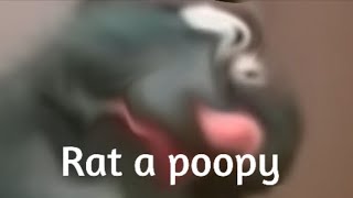 Rat a poopy YTP clean [upl. by Doggett513]