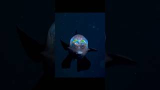 Life under the deep ocean 🪸🌊 its scary 😨 ocean fish ytshorts [upl. by Maryn]