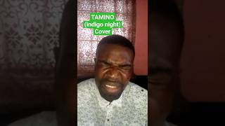 Tamino  Indigo night Cover by Courage Kanayo music tamino indigonight youtubemusic [upl. by Adaliah]