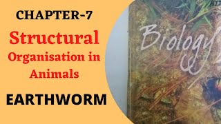 Structural organisation in Animals  Topic Earthworm  NEETCBSE  Full Ncert explained🔥🔥 [upl. by Odraccir]